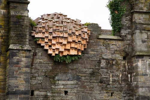 RB_Abdij-Ruines_Villers-la-Ville_05