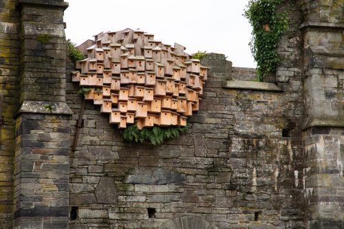 RB_Abdij_Ruine_1200px_05